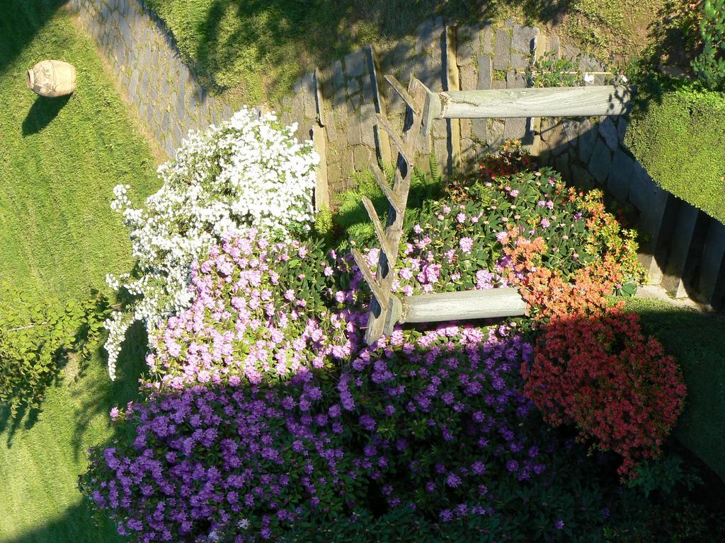 B&B Villa Cernigliaro Dimora Storica Sordevolo Dış mekan fotoğraf